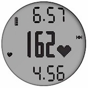 GARMIN Forerunner 210 Training - Puls