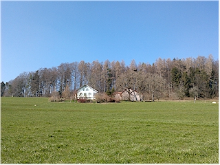 Haus am Wald