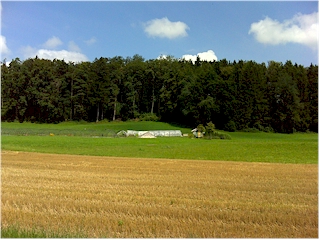 Feld und Wald
